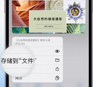 宣州apple维修中心分享iPhone文件应用中存储和找到下载文件