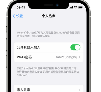 宣州apple服务站点分享iPhone上个人热点丢失了怎么办 