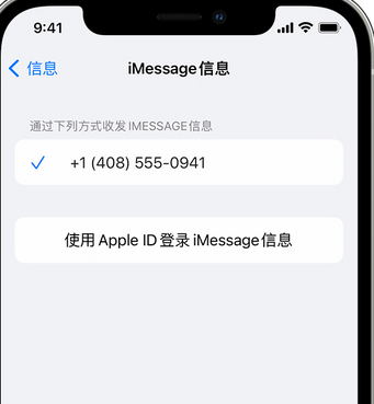 宣州apple维修iPhone上无法正常发送iMessage信息 