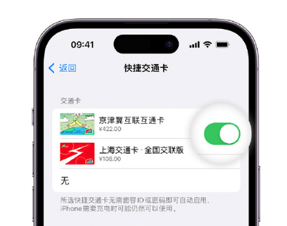 宣州apple维修点分享iPhone上更换Apple Pay快捷交通卡手绘卡面 