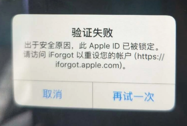 宣州iPhone维修分享iPhone上正常登录或使用AppleID怎么办 