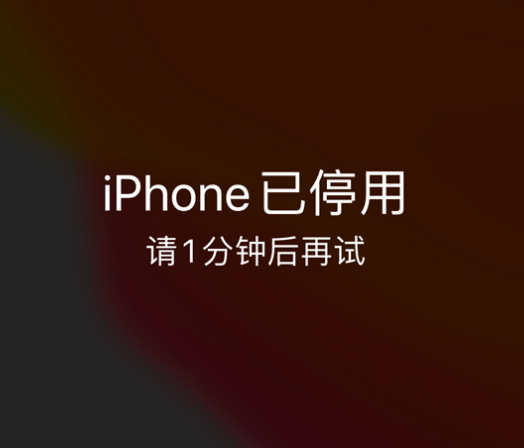 宣州苹果手机维修分享:iPhone 显示“不可用”或“已停用”怎么办？还能保留数据吗？ 