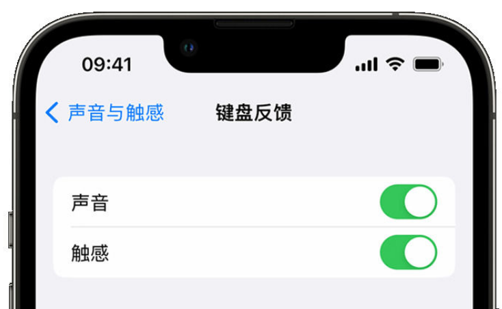 宣州苹果手机维修分享iPhone 14触感键盘使用方法 