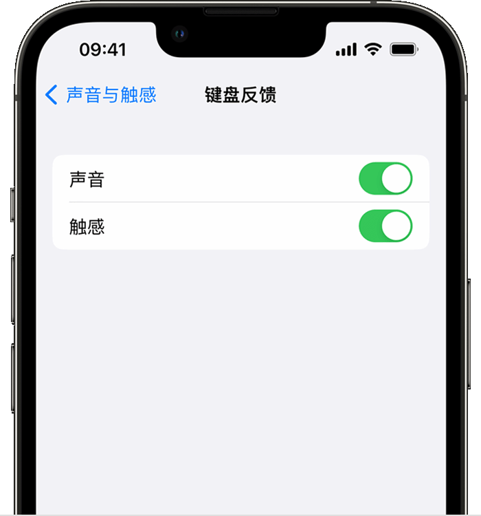 宣州苹果14维修店分享如何在 iPhone 14 机型中使用触感键盘 