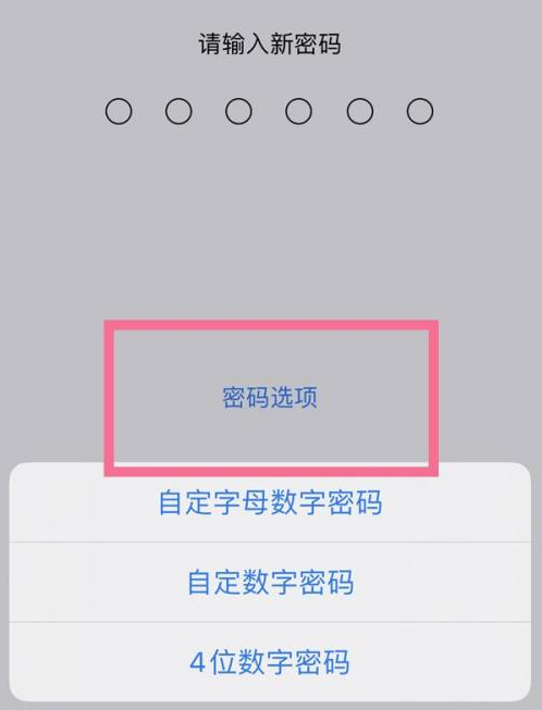 宣州苹果14维修分享iPhone 14plus设置密码的方法 