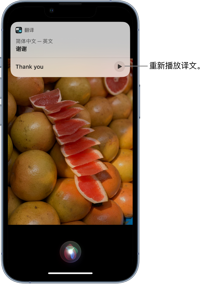 宣州苹果14维修分享 iPhone 14 机型中使用 Siri：了解 Siri 能帮你做什么 