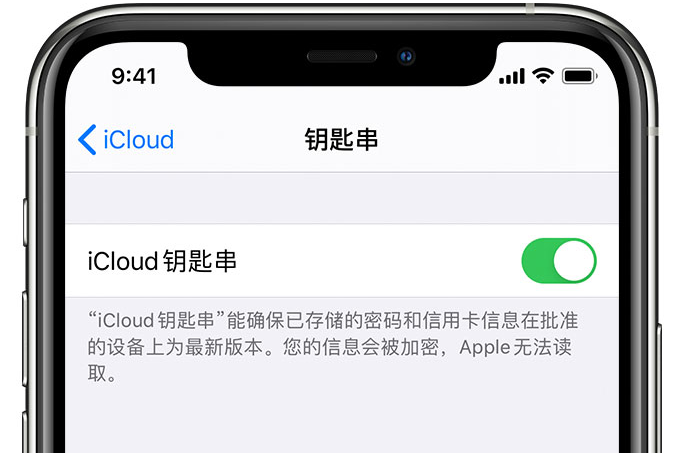 宣州苹果手机维修分享在 iPhone 上开启 iCloud 钥匙串之后会储存哪些信息 